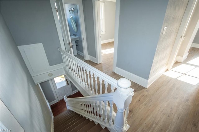 stairway with wood-type flooring