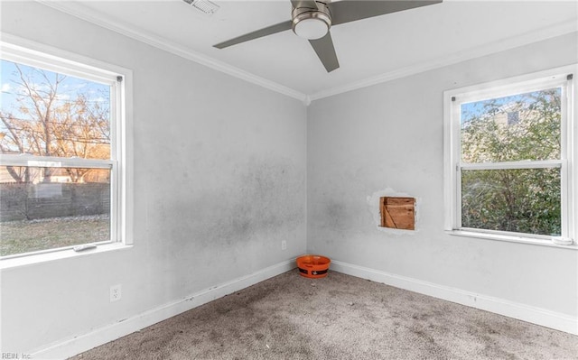 spare room with carpet flooring, a wealth of natural light, and crown molding