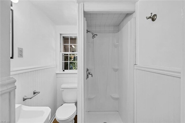 bathroom with a shower and toilet