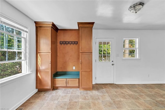 mudroom featuring a healthy amount of sunlight