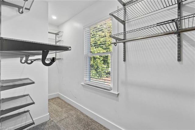 walk in closet with carpet floors