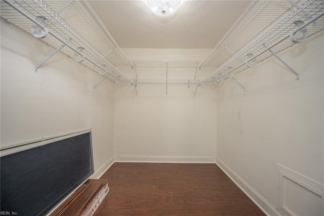 spacious closet with dark wood-type flooring