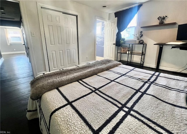 bedroom featuring multiple windows, hardwood / wood-style floors, and a closet