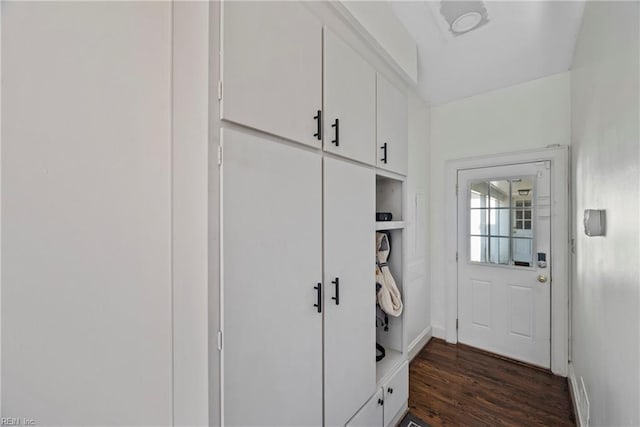 mudroom featuring dark wood-type flooring