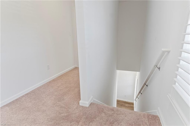 stairs featuring carpet floors