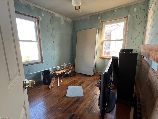 miscellaneous room with dark hardwood / wood-style flooring