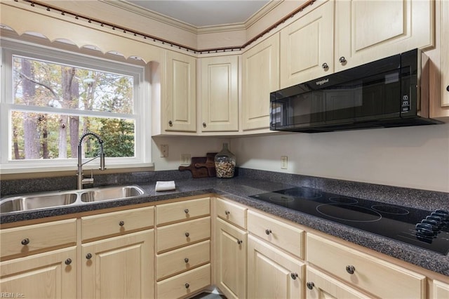 kitchen with sink, crown molding, and black appliances