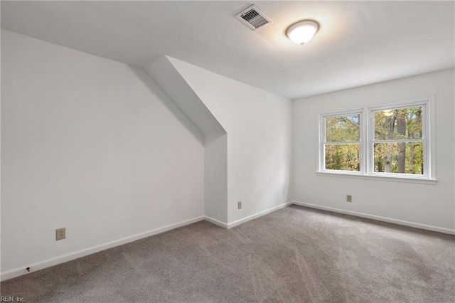 additional living space featuring carpet