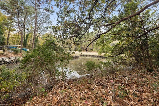 view of nature featuring a water view