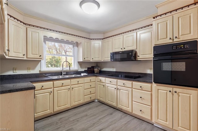 kitchen featuring sink, black appliances, and light hardwood / wood-style flooring