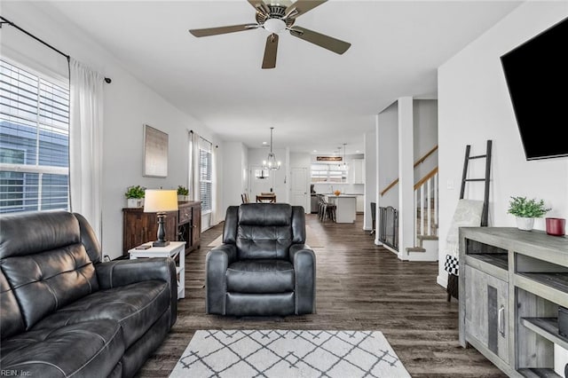 living room with ceiling fan with notable chandelier, dark hardwood / wood-style floors, and a healthy amount of sunlight