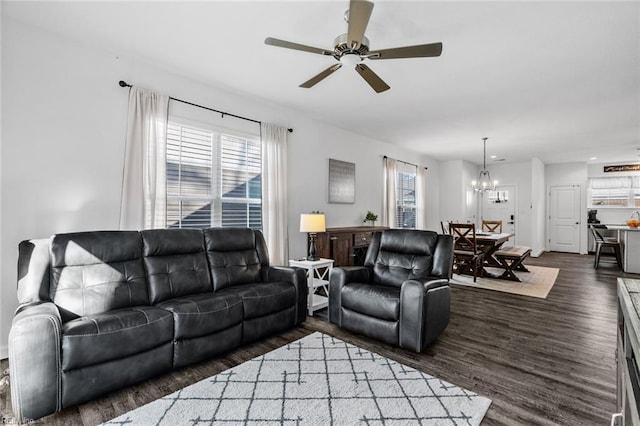 living room featuring ceiling fan with notable chandelier and dark hardwood / wood-style flooring