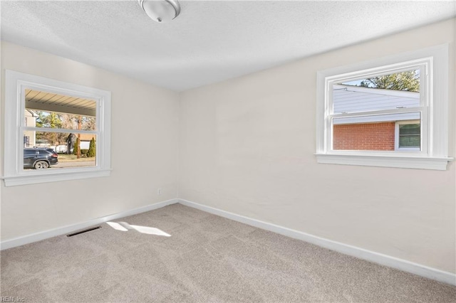 carpeted empty room featuring a wealth of natural light