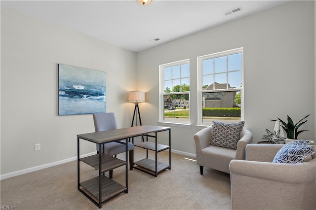 view of carpeted home office