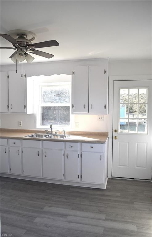 kitchen with dark hardwood / wood-style floors, ceiling fan, white cabinetry, and sink