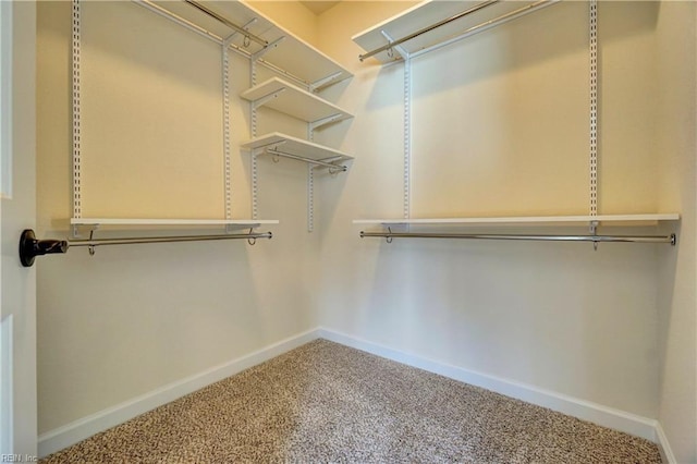 spacious closet featuring carpet flooring