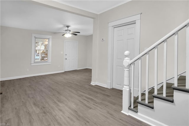 entrance foyer with ceiling fan and wood-type flooring