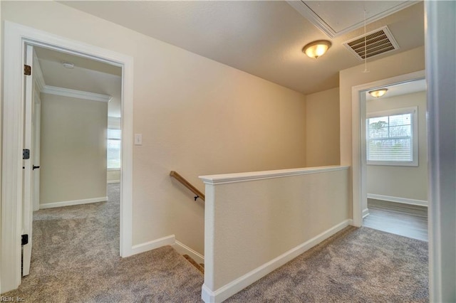 hallway with light colored carpet