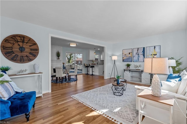 living room featuring wood-type flooring