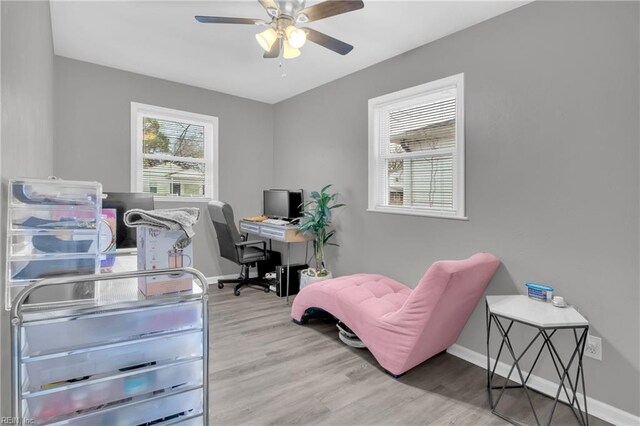 office space with ceiling fan and light hardwood / wood-style floors