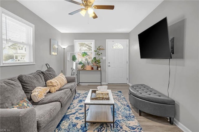 living room featuring light wood-type flooring, a wealth of natural light, and ceiling fan