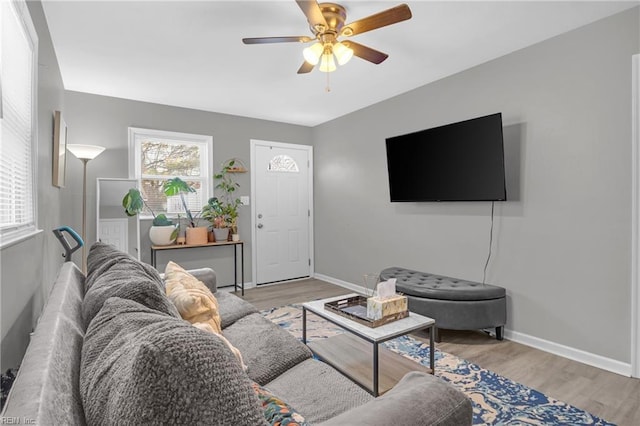 living room with ceiling fan, a healthy amount of sunlight, and light wood-type flooring