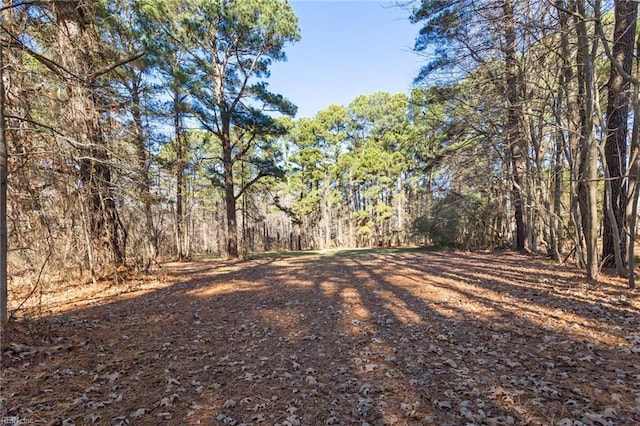 view of nature