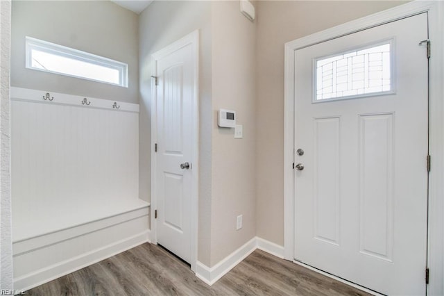 foyer with wood-type flooring