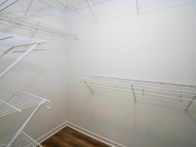 spacious closet featuring hardwood / wood-style floors