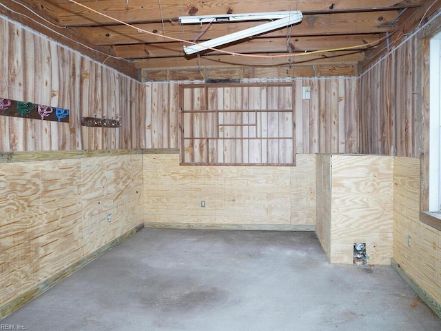 basement with wooden walls