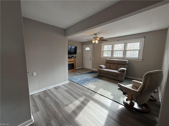 living room with ceiling fan, a fireplace, and wood-type flooring