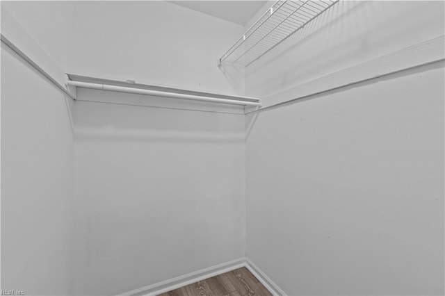 spacious closet featuring hardwood / wood-style flooring