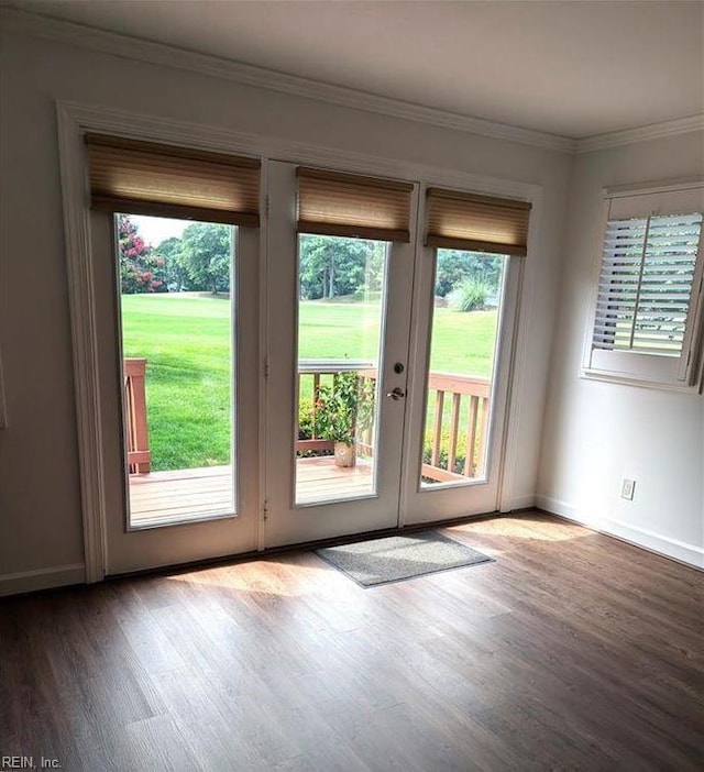 doorway with a wealth of natural light, hardwood / wood-style floors, and ornamental molding