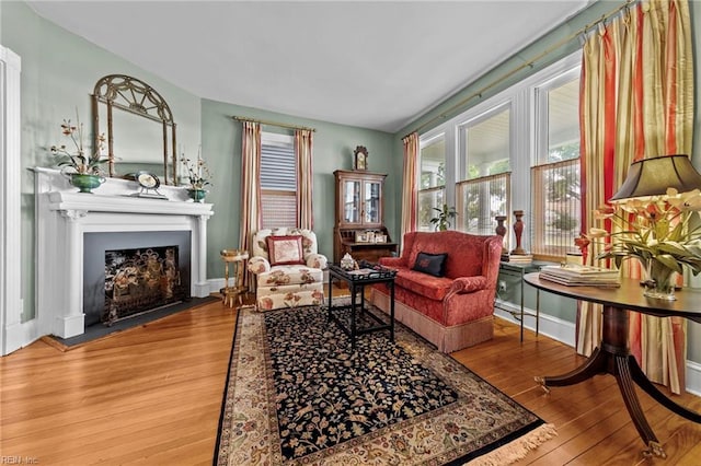 sitting room featuring wood-type flooring