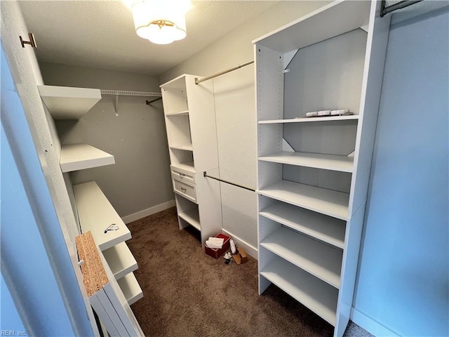 spacious closet with dark colored carpet