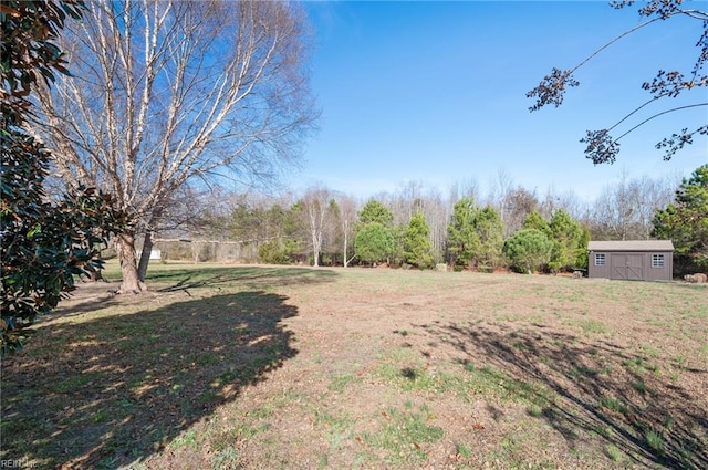 view of yard featuring a storage unit