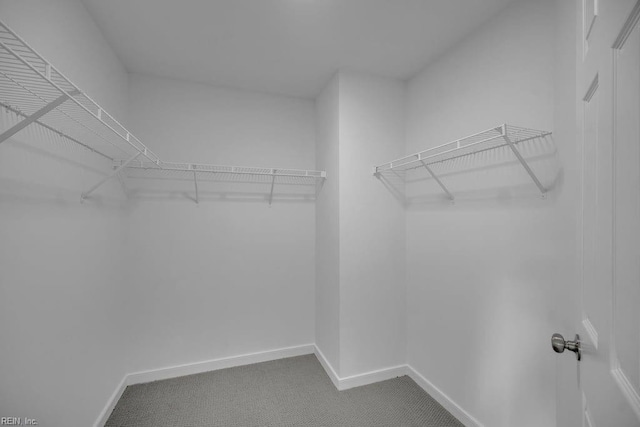 spacious closet with carpet flooring