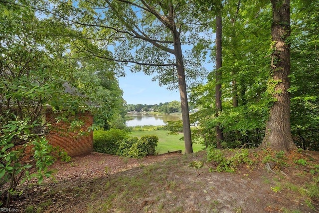 view of yard featuring a water view