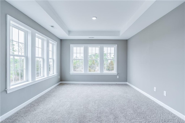 unfurnished room with a tray ceiling, carpet floors, and a healthy amount of sunlight