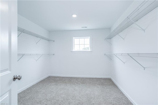 walk in closet with carpet