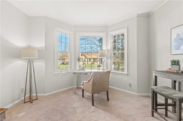 living area featuring light colored carpet and ornamental molding