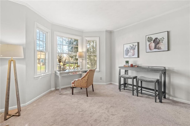 living area with light colored carpet and ornamental molding