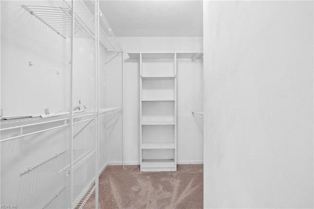 spacious closet with light carpet