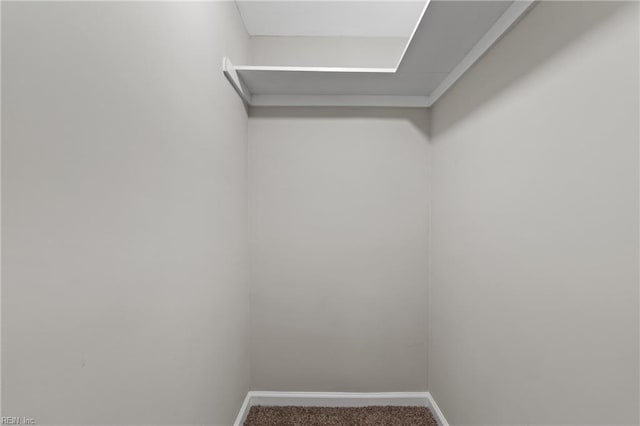 walk in closet featuring carpet flooring