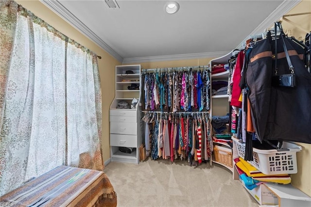 walk in closet featuring carpet floors