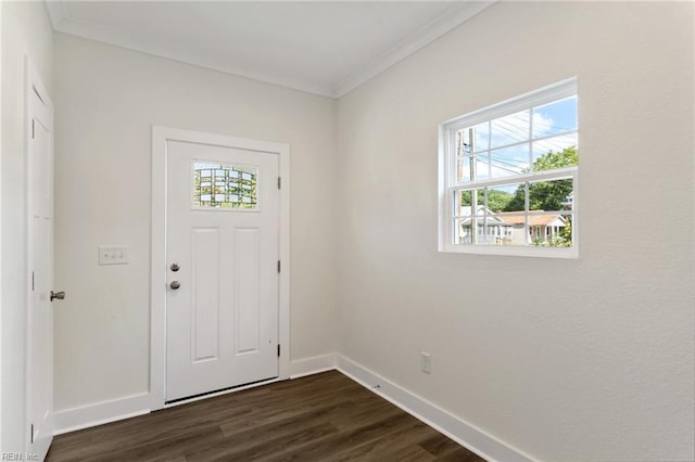 foyer with dark hardwood / wood-style flooring and ornamental molding