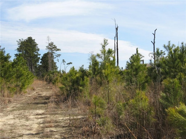 4161 Caratoke Hwy, Barco NC, 27917 land for sale