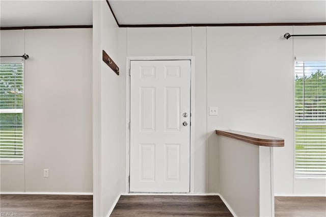 entrance foyer with dark hardwood / wood-style flooring