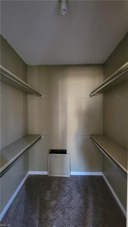 spacious closet featuring carpet