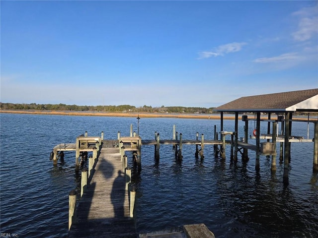 dock area featuring a water view